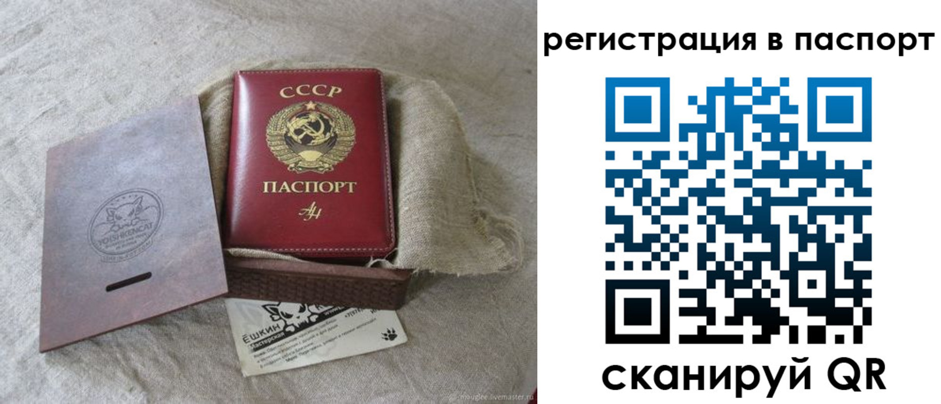 где прописаться в Фролово